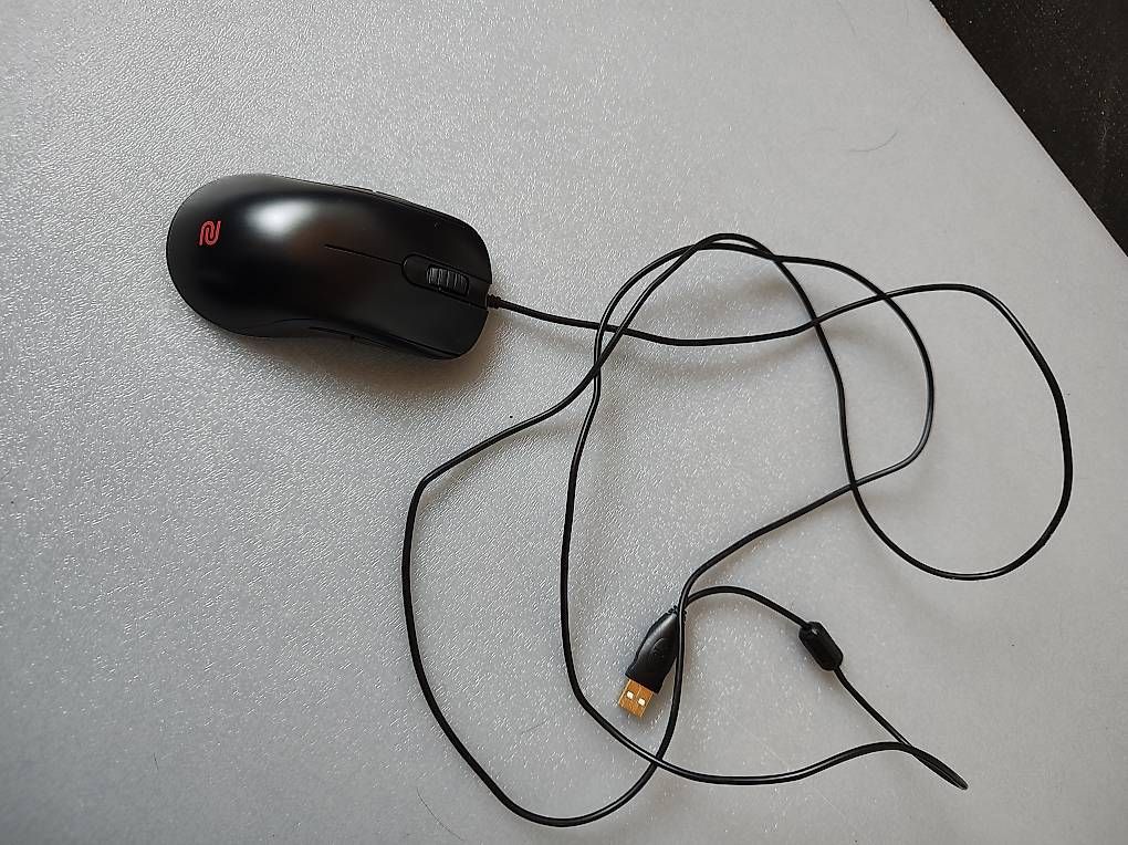 Mouse: Gaming Maus Zowie FK2 – Usato da Altstätten SG venduto da RK93