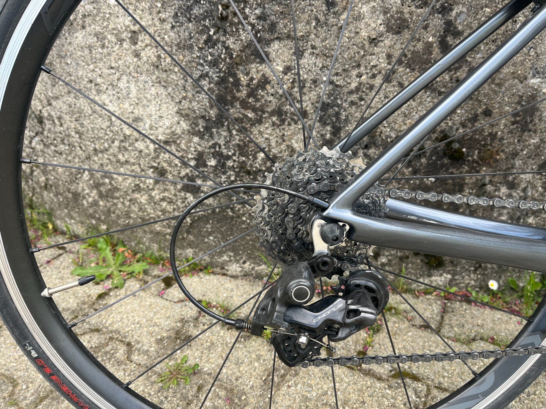 Biciclette: Rennvelo Schor, Carbon – Usato da Dintikon venduto da Redgar58 7