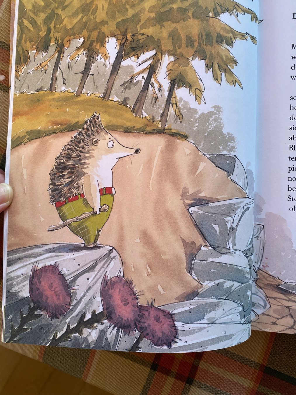 Libri: Kinderbuch Das große Latte-Igel-Buch – Nuovo (secondo la descrizione) da Nussbaumen AG venduto da GeorgiaB 2