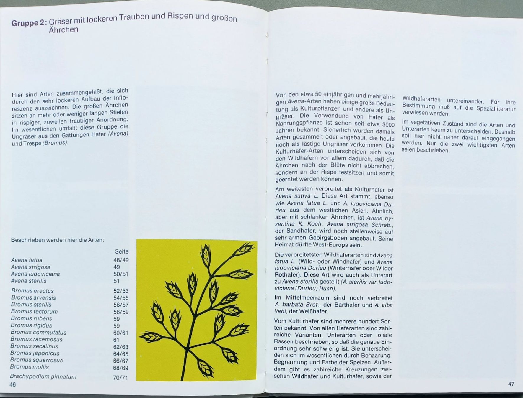 Libri: Buch - Ungräser des Ackerlandes – Usato da Niederuzwil venduto da lubimaja 3