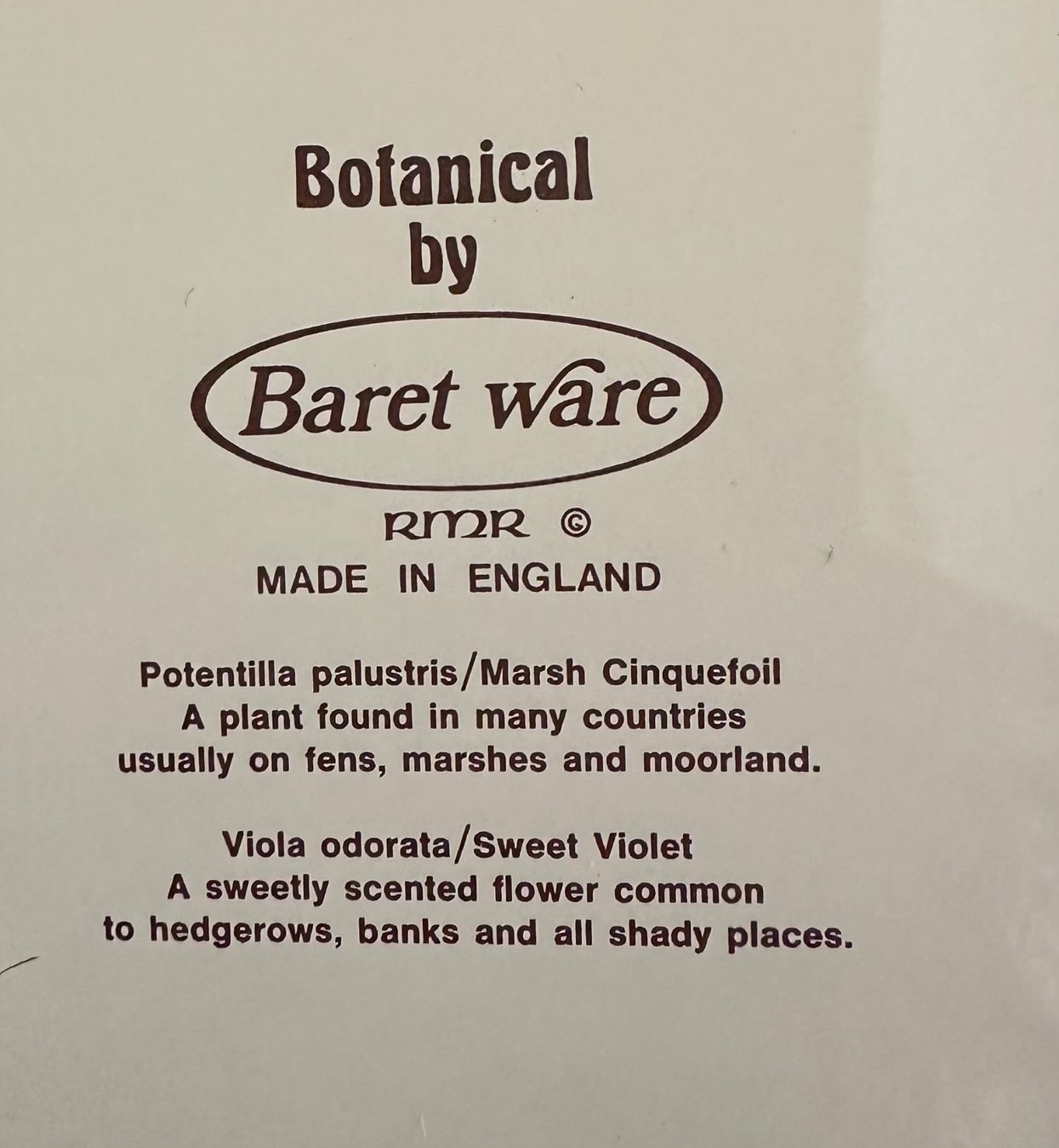 Contenitori & Simili: Vintage botanical Blechdose von Baret Ware England – Usato da Zürich venduto da brazerola 8