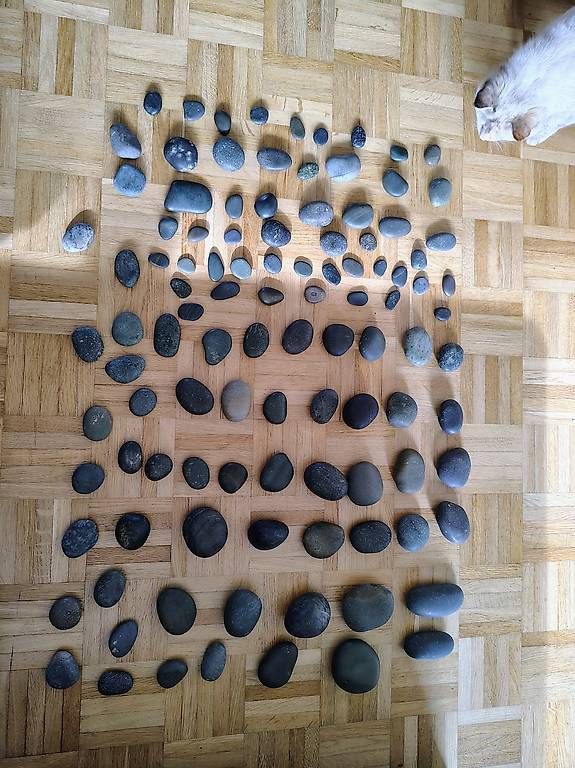 Dispositivi per massaggi: Hot Stone Massage Profi set – Usato da Münsingen venduto da Nerm