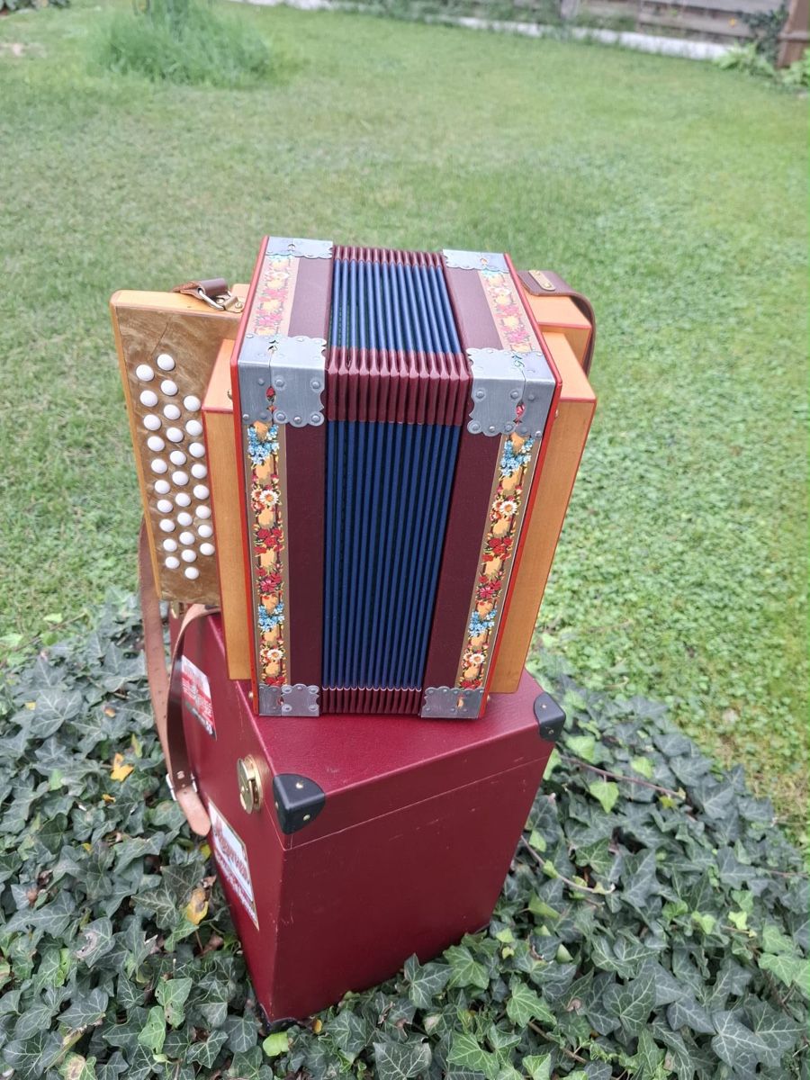 Instruments de musique: Nussbaumer Schwyzerörgeli – D'occasion à Domdidier par HA92 1