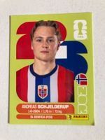 Panini Sticker FIFA WM 2110 Andreas Schjelderup NOR12