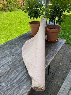 Tessuti: Rohseide fein, Farbe pudriges rosa, B 1.16 m – Nuovo (secondo la descrizione) da Schwerzenbach venduto da einblick