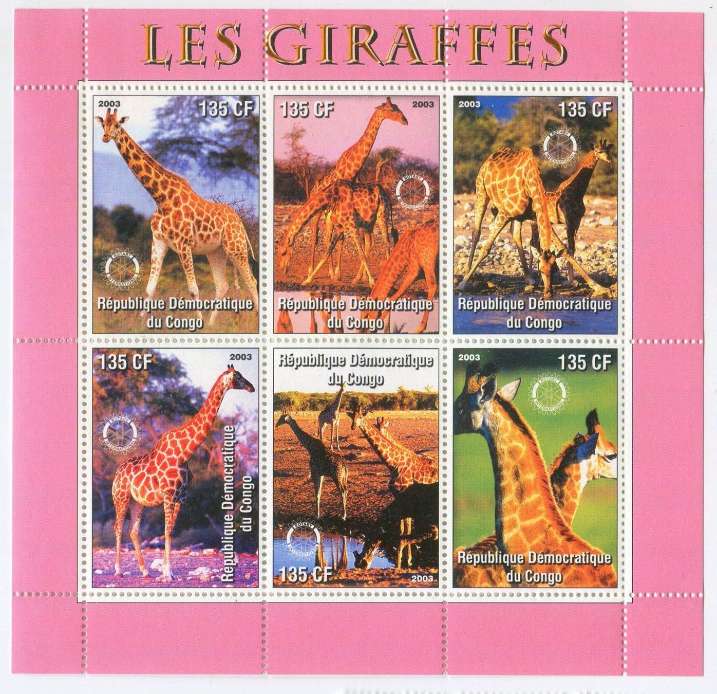 Tous les timbres: Block "Giraffen". Kongo. – Neuf avec emballage d'origine à Basel par Butsch5