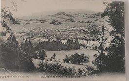 LA CHAUX-DE-FONDS - Vue générale