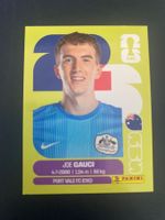 Panini FIFA World Cup Sticker AUS 3