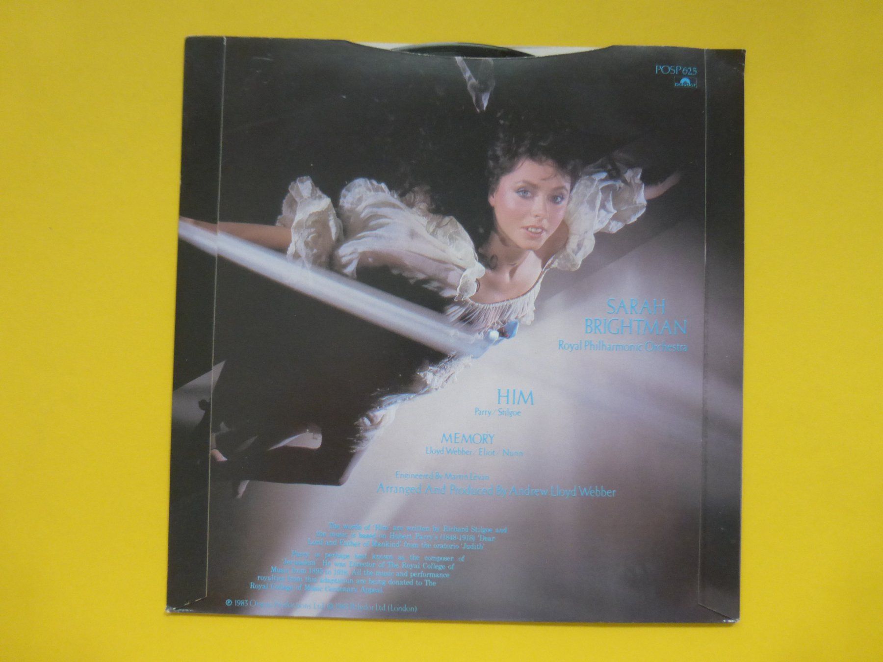 Dischi in vinile: Sarah Brightman – Him – Usato da Zürich venduto da Swiss57 1