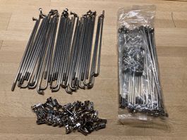 Speichen mit Nippel 3.0x151 10° chrom 72 Stk Kreidler Floret