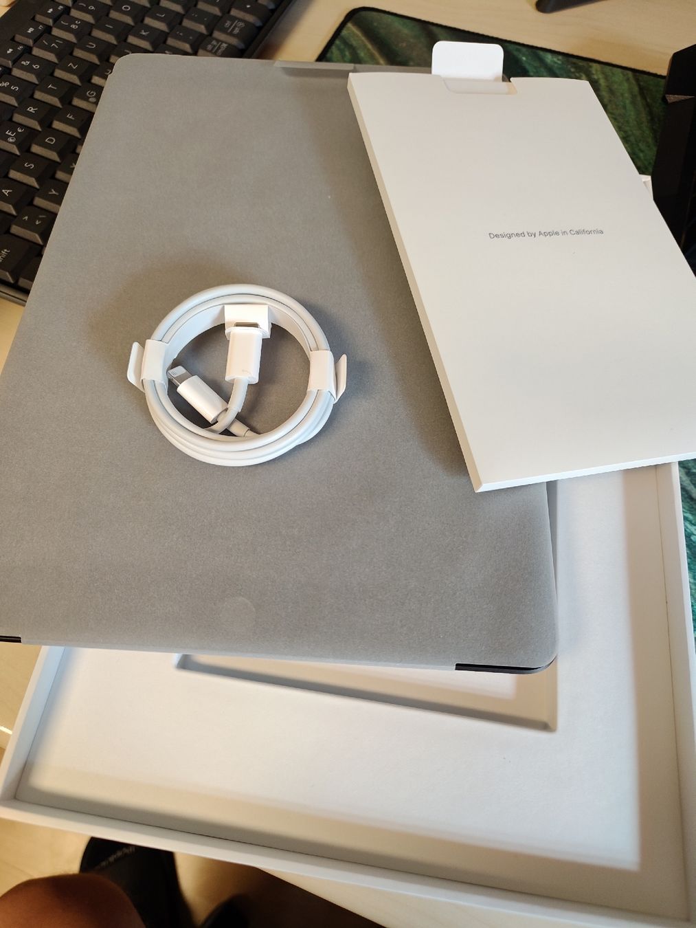 Apple Tablet PC: iPad (9th Generation) Wi-fi – Usato da Elsau venduto da ghbuur 3