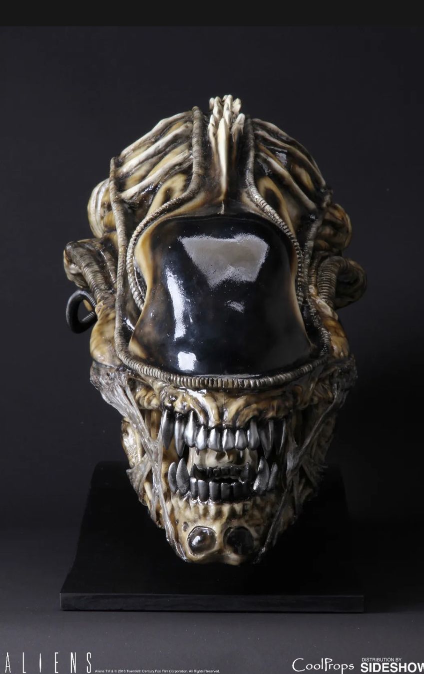 Figuren: Lifesize Aliens, Alien, Sideshow, Coolprops, Giger, Predator – Neu und originalverpackt aus Glattfelden von Ak_5bL 2