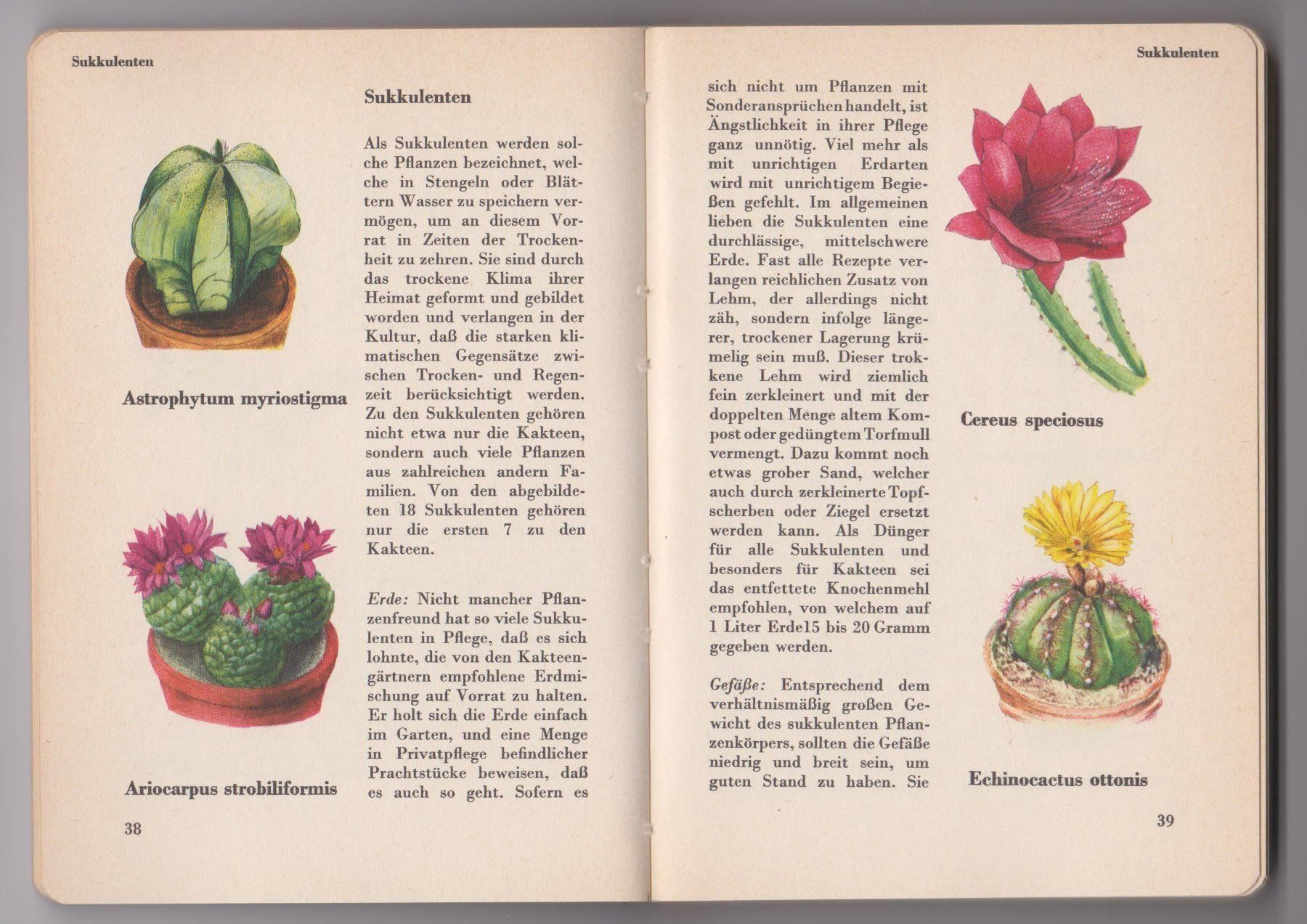 Livres: Es blüht in Haus und Garten 1958 – D'occasion à Bern par Grindelwaldaus 2