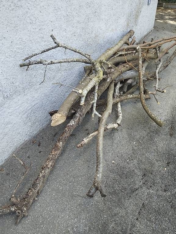 Holzartikel: Brennholz – Gebraucht aus Ostermundigen von Dinge1 1