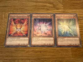 Yu-Gi-Oh! - Kartenset „Herold“