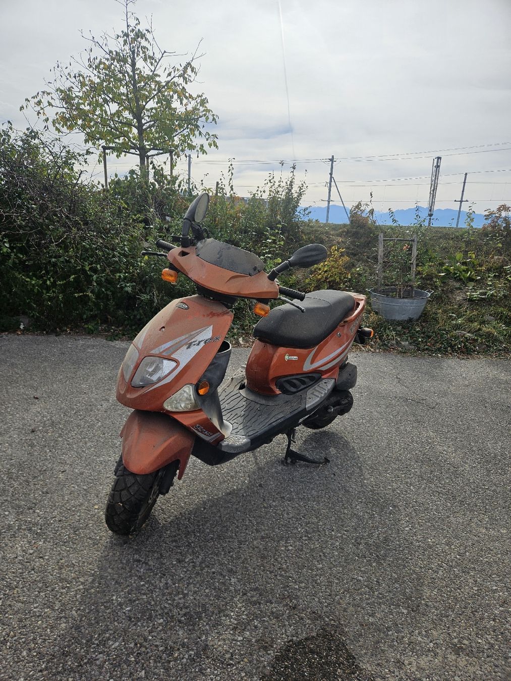 Pgo Scooters: PGO t-rex 125  – Defekt aus Yens von nic_85kb