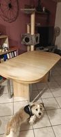 Table  à manger 1m60x75x95