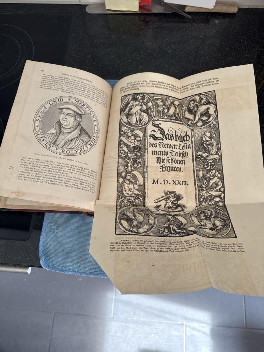 Libri: Buch, deutsche Literatur Geschichte 1879 – Usato da Siebnen venduto da Micha1307 3