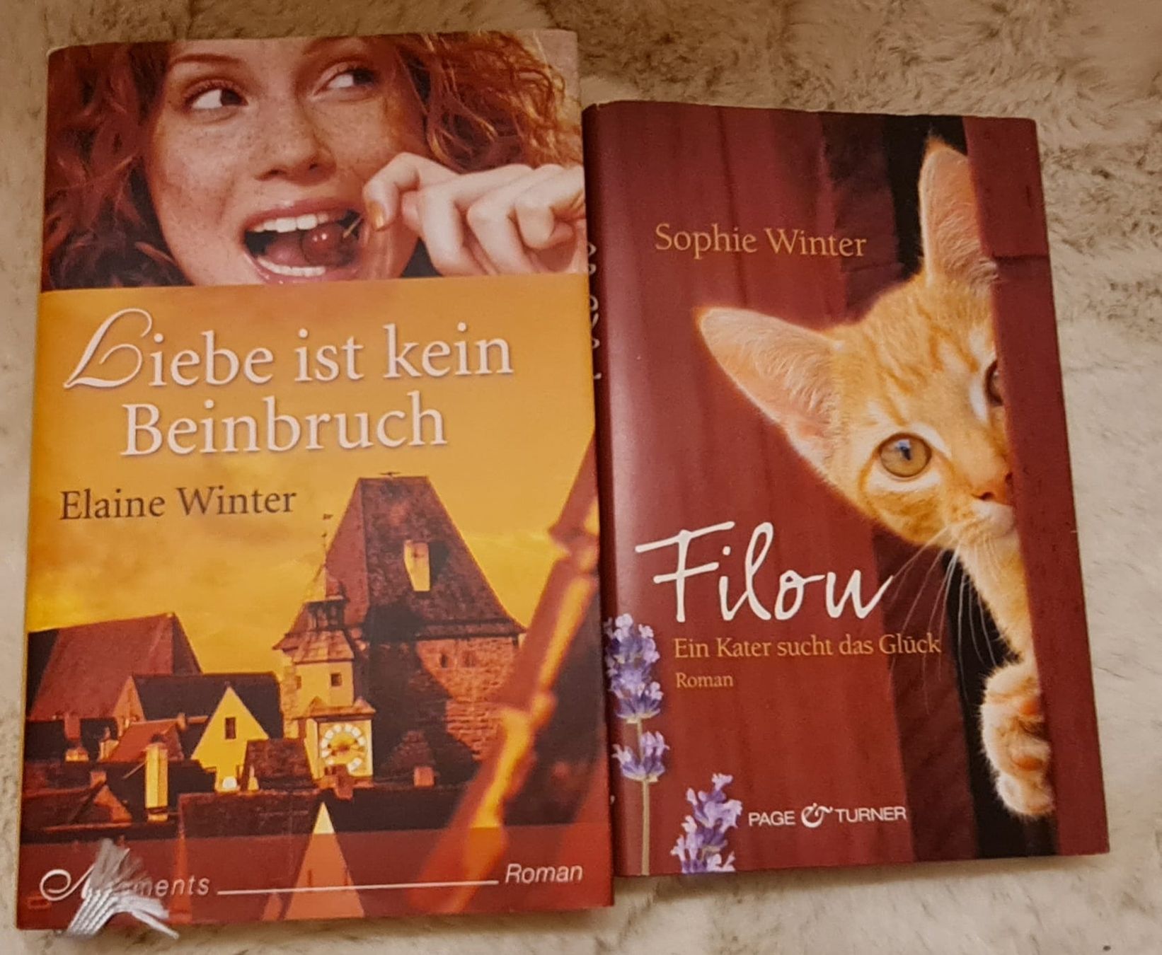 Bücher: Bücherpaket 27 Bücher – Gebraucht aus Toffen von Gwunderegge77 6