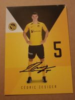 Cédric Zesiger - signierte Autogrammkarte YB ⚽