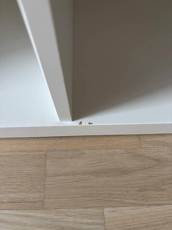 Regale: KALLAX étagère  – Gebraucht aus Lausanne von floky84 2