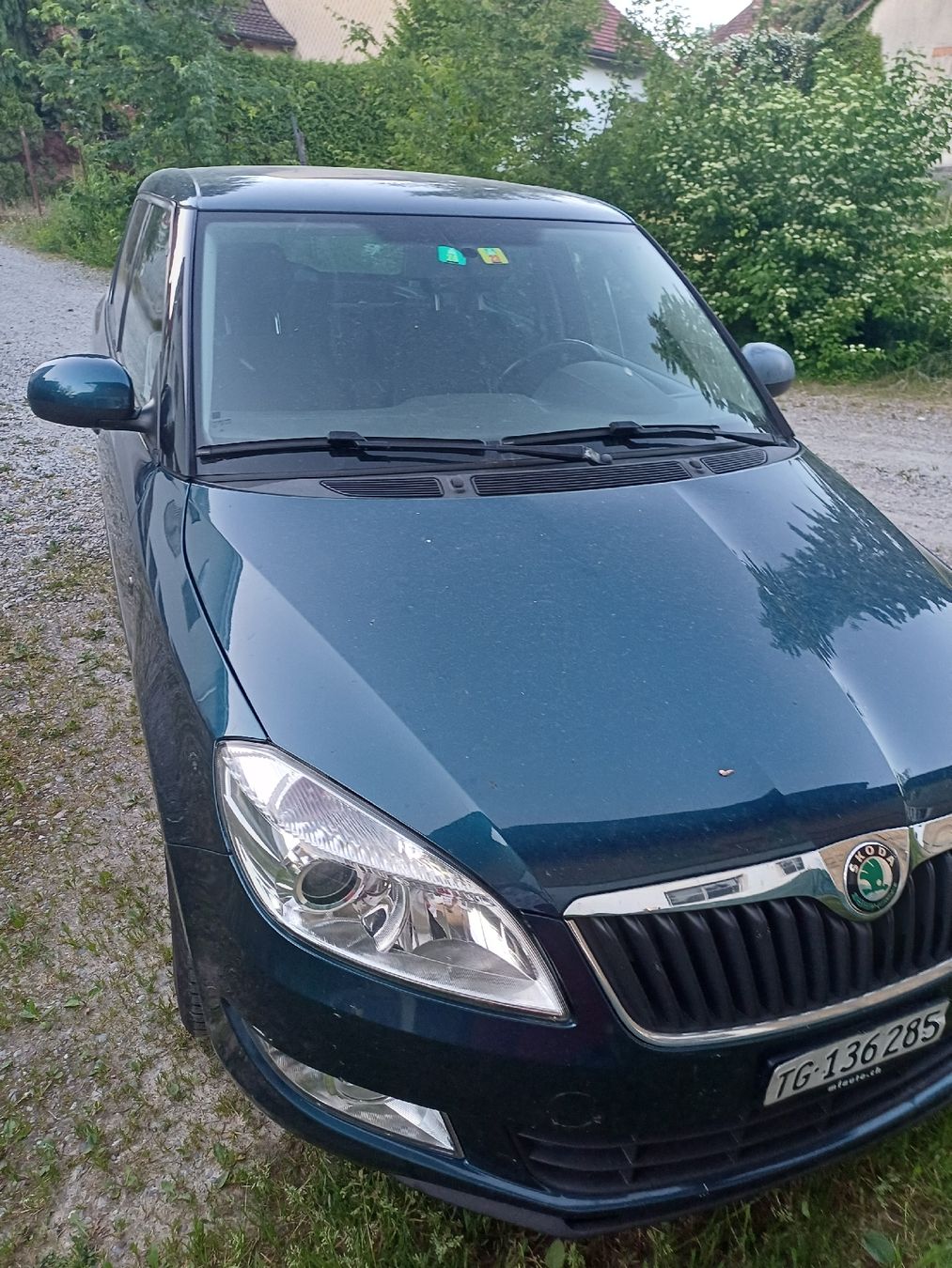 Skoda Automobili: Skoda Fabia – Difettoso da Thundorf venduto da Saludnatural 1