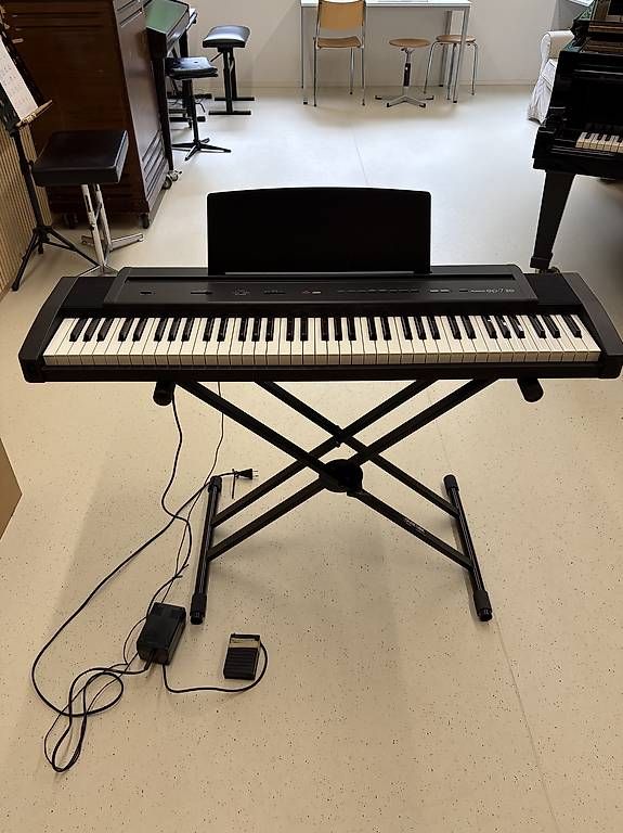 Strumenti musicali: Roland EP-7 – Usato da Birsfelden venduto da Wurly