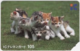 Katzen - seltene NTT Japan Telefonkarte