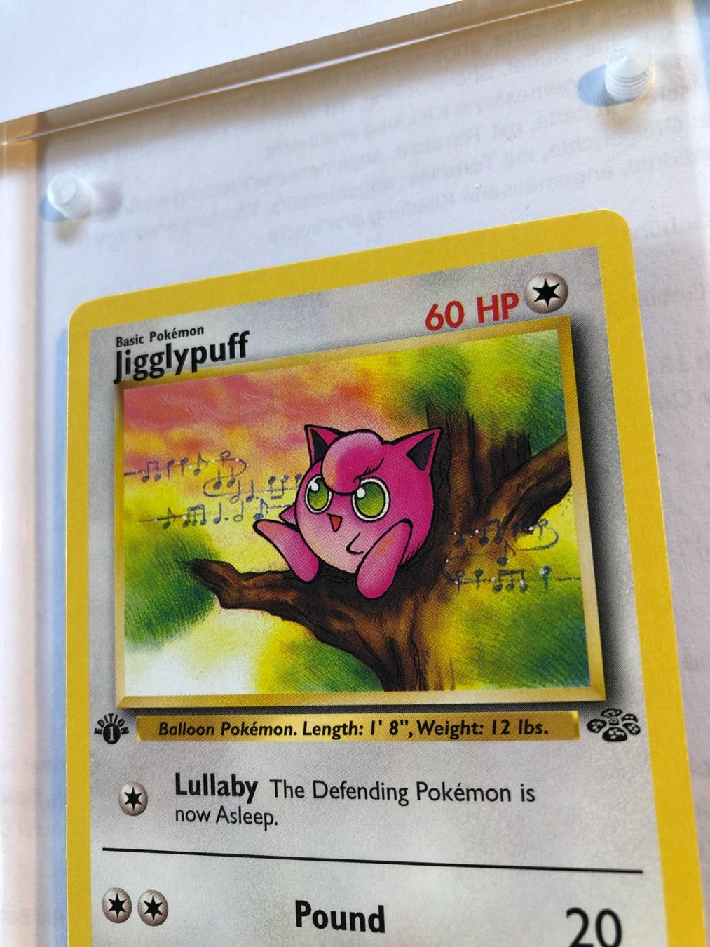 Sammelbilder & Trading cards: Jigglypuff 1st Jungle - LP - ab 1.- – Gebraucht aus Giubiasco von dan_pr8b 3