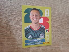 MEX 19