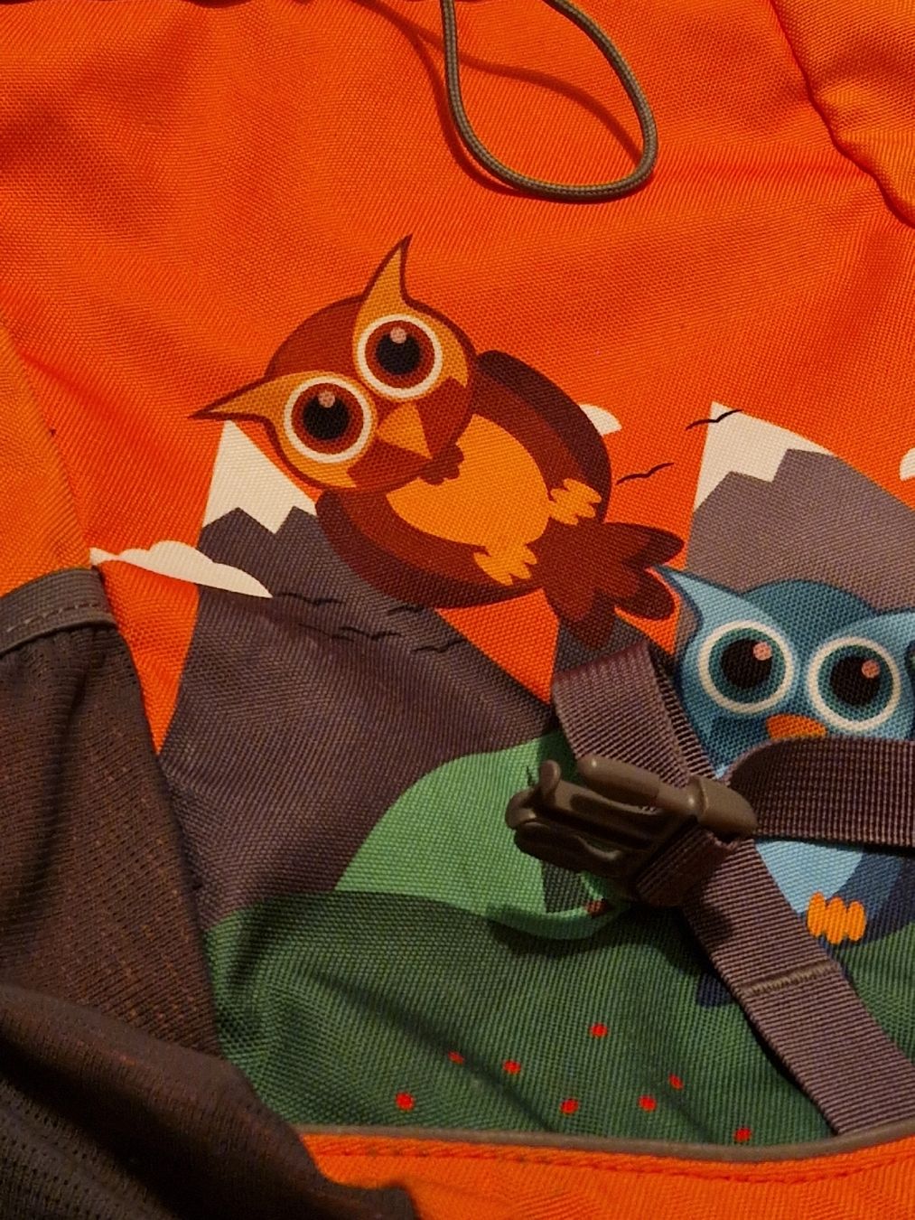 46 Nord Zaini: Süsser Wanderrucksack 46N, orange – Usato da Ittigen venduto da ivovaldez96 3