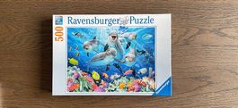 Ravensburger Puzzle Delfine auf Korallenriff  500 Teile