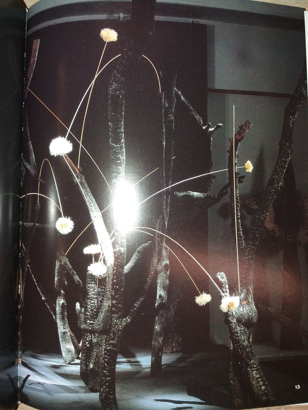 Libri: FASZINATION Ikebana japan – Usato da Welschenrohr venduto da Regool 7