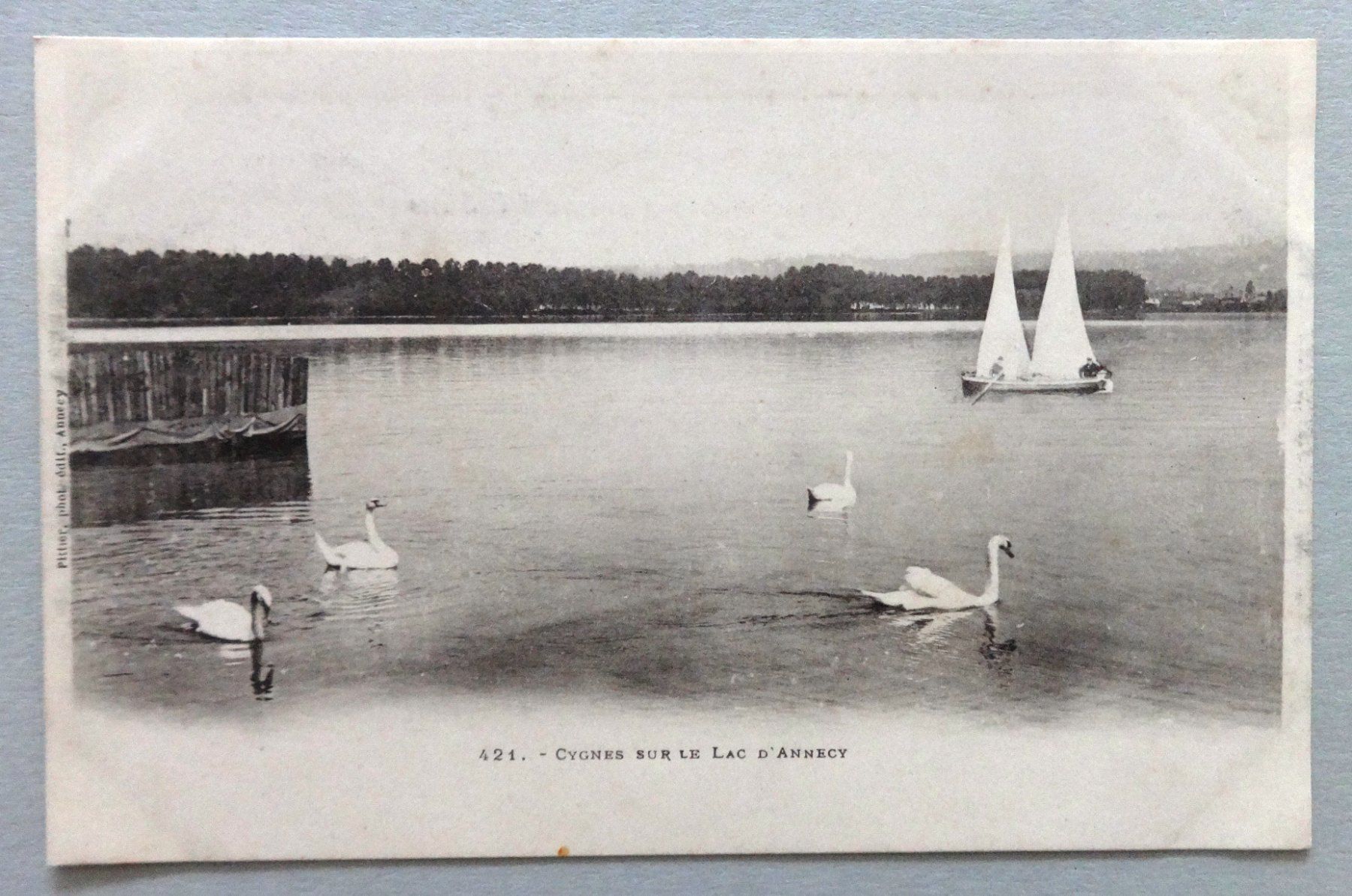 Cartoline postali: Cygnes sur le lac d' Annecy – Usato da Fétigny venduto da Billy2miny