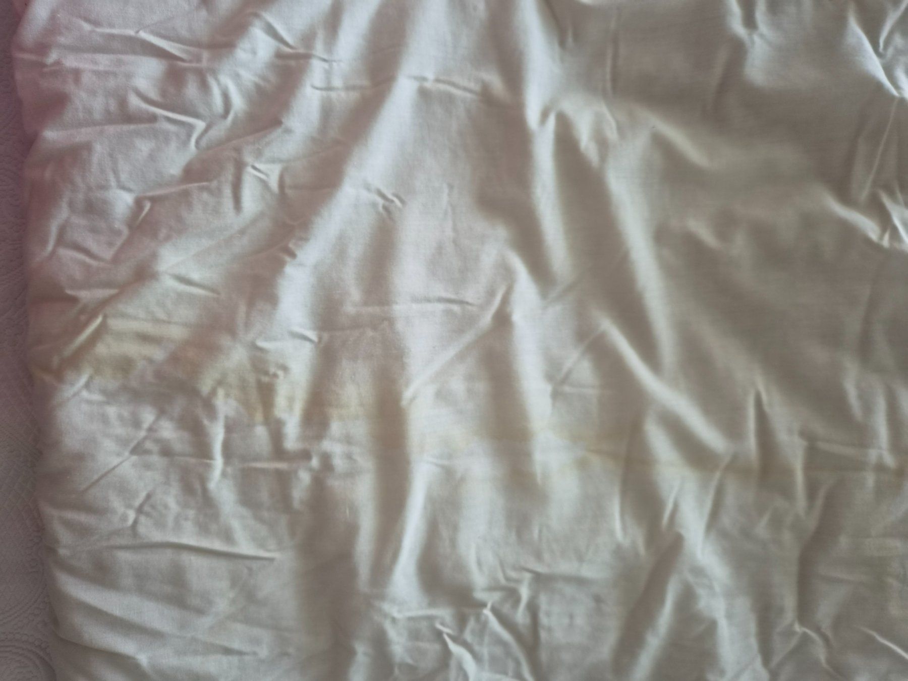 Coperte: Steppdecke Pfau / 240 x 280cm – Usato da Zürich venduto da Citalo 2