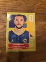Panini Sticker 2026 BIH 6