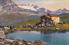 Heimatbilder Zermatt und Umgebung