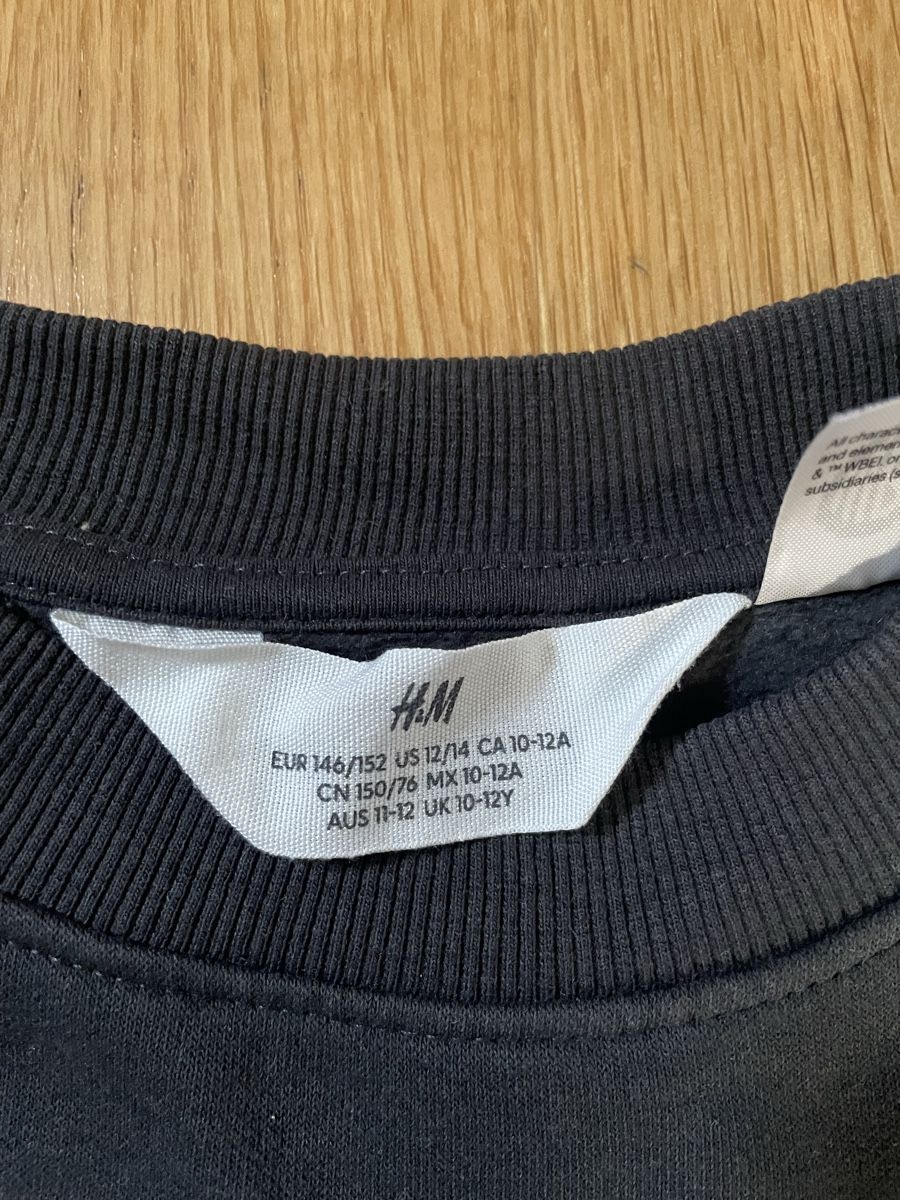 H&M Pullover & Sweatshirts: Pullover Mädchen – Neu (gemäss Beschreibung) aus Balgach von sei_s6d7 2