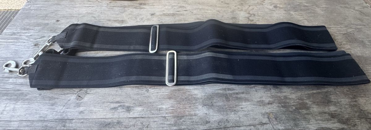 Selle & Accessori: NEU: Longiergurte Soft Waldhausen, L inkl. 2 Elastikbänder – Nuovo e nell'imballaggio originale da Schlattingen venduto da ReCoGi 1