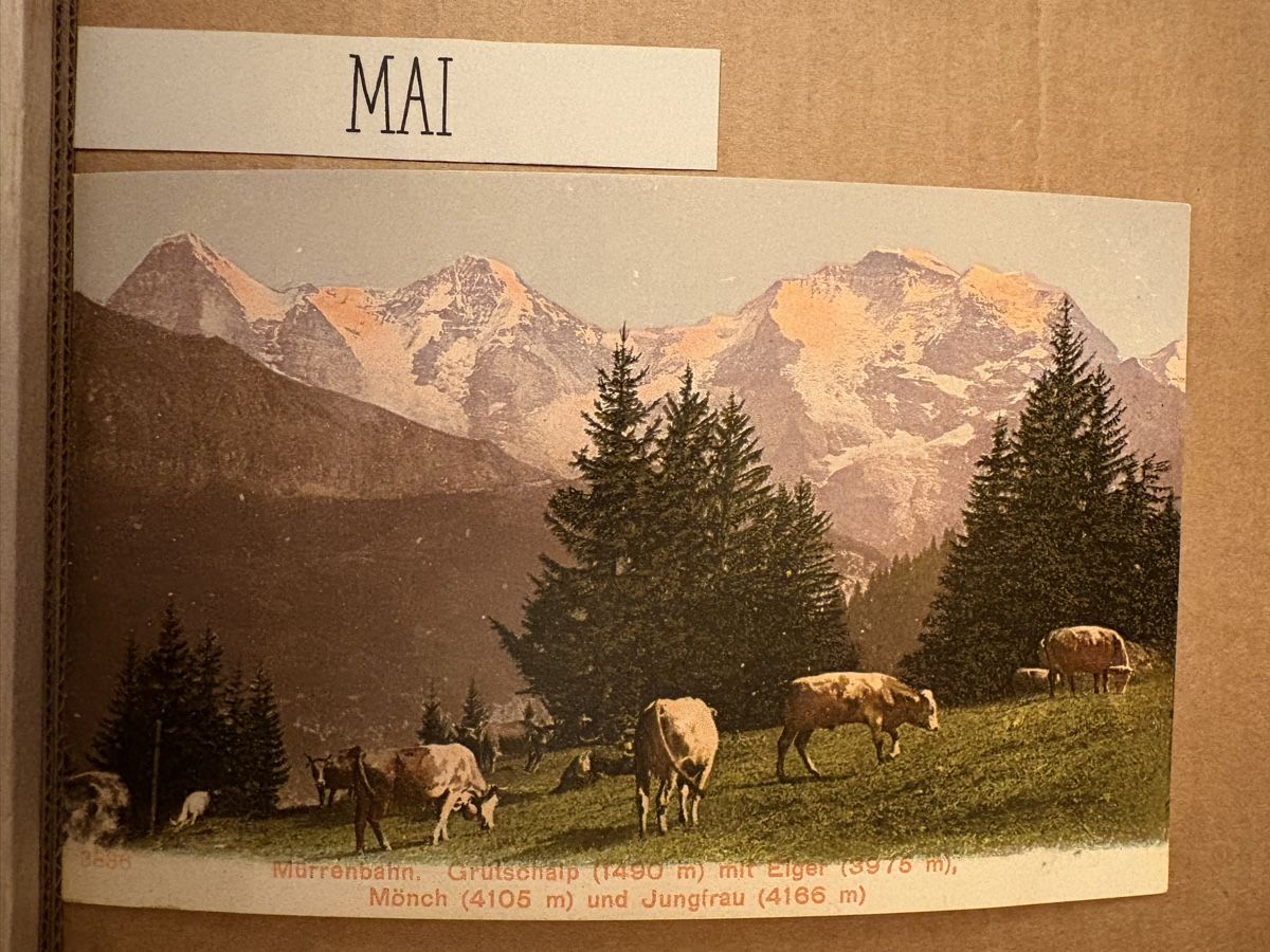 Cartoline postali: AK von Grüschalp / Eiger Mönch Jungfrau – Usato da Rümlang venduto da Kartenpost1