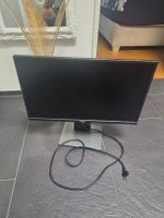 Dell Monitor