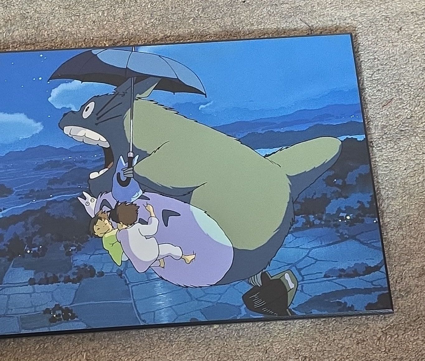 Gemälde: Wandbild Anime Totoro  – Neu (gemäss Beschreibung) aus Ostermundigen von Talmonridel 1