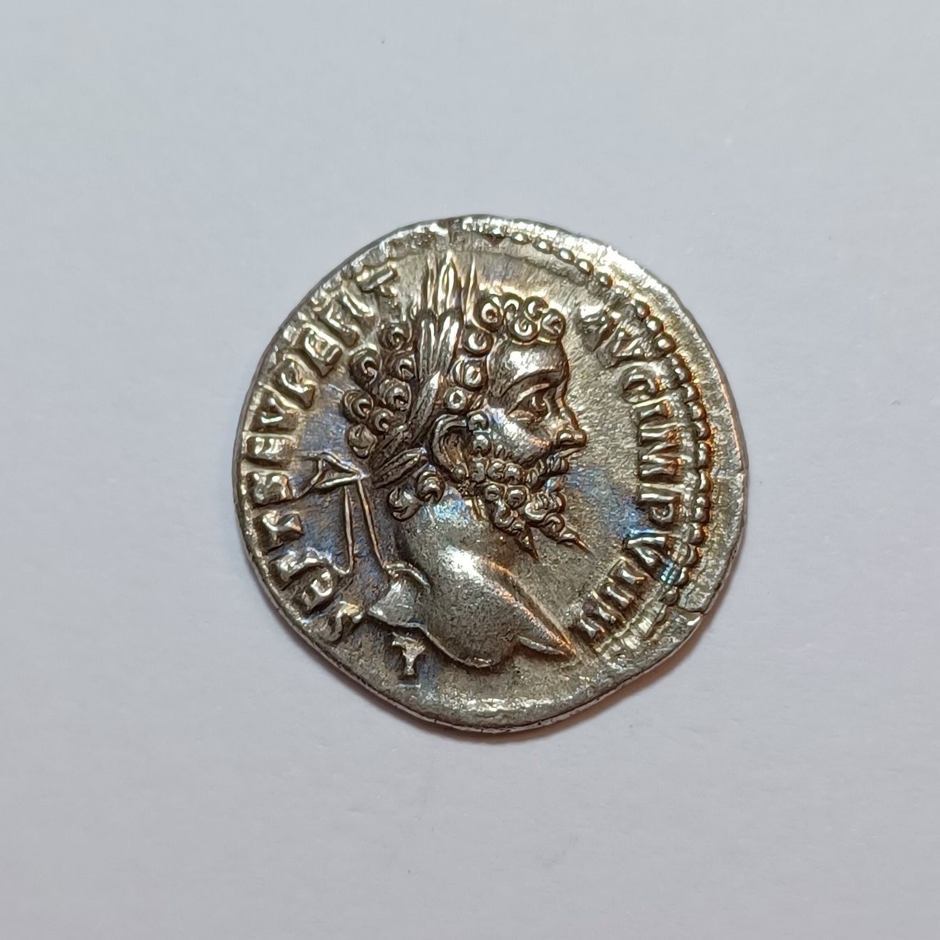 Alle Münzen: Denarius Septimius Severus 193-211 Römisches Reich – Gebraucht aus Pfäffikon ZH von Antike_Muenzen