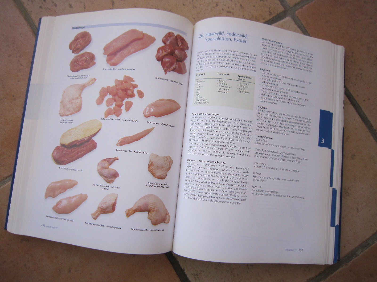 Libri: Pauli Lehrbuch der Küche 2005 – Usato da Neuenegg venduto da Heggi0 4