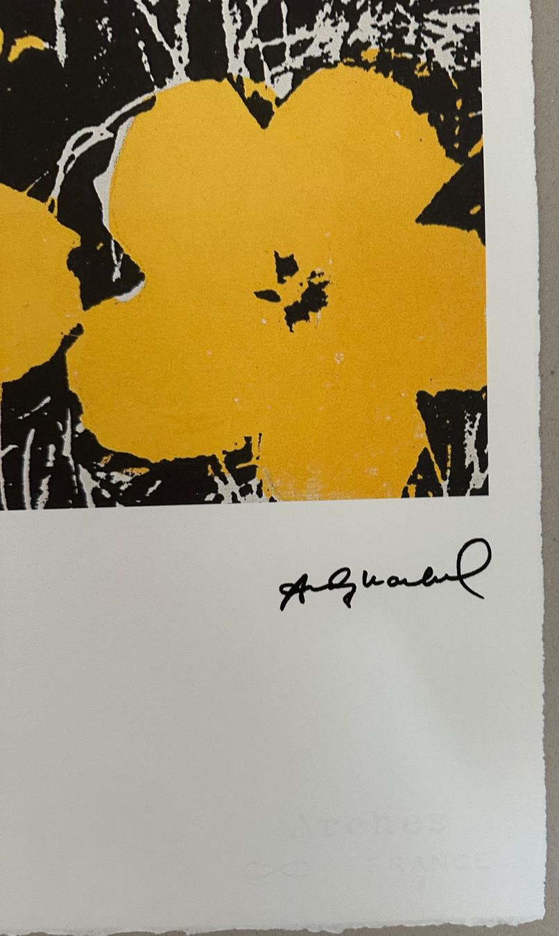Foto & Immagini: Andy Warhol: Flowers 56/100 – Nuovo (secondo la descrizione) da Meilen venduto da Smgdesign 2