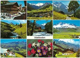 AK Adelboden, Berner Oberland - 9 Bilder