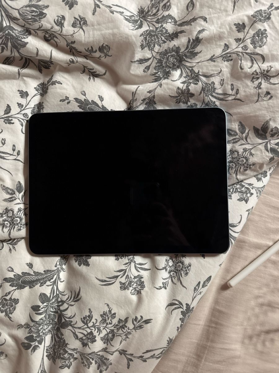 Apple Tablet PC: iPad Air 2020 parfait état – Usato da Fontaines NE venduto da lou_nr7k