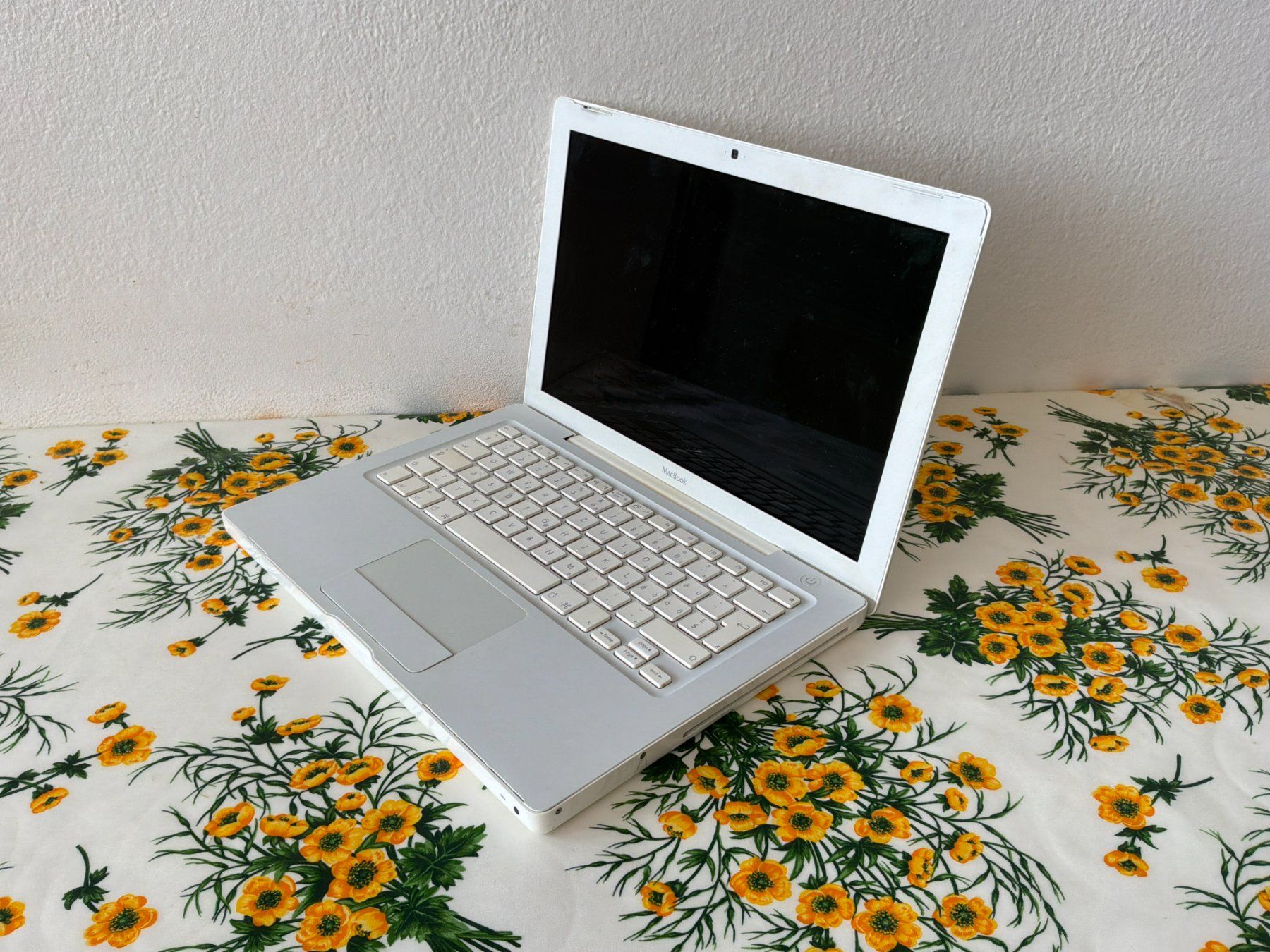 Apple Notebooks: Apple MacBook A1181 Core 2 Duo – Gebraucht aus Massagno von mar_k9xb 5