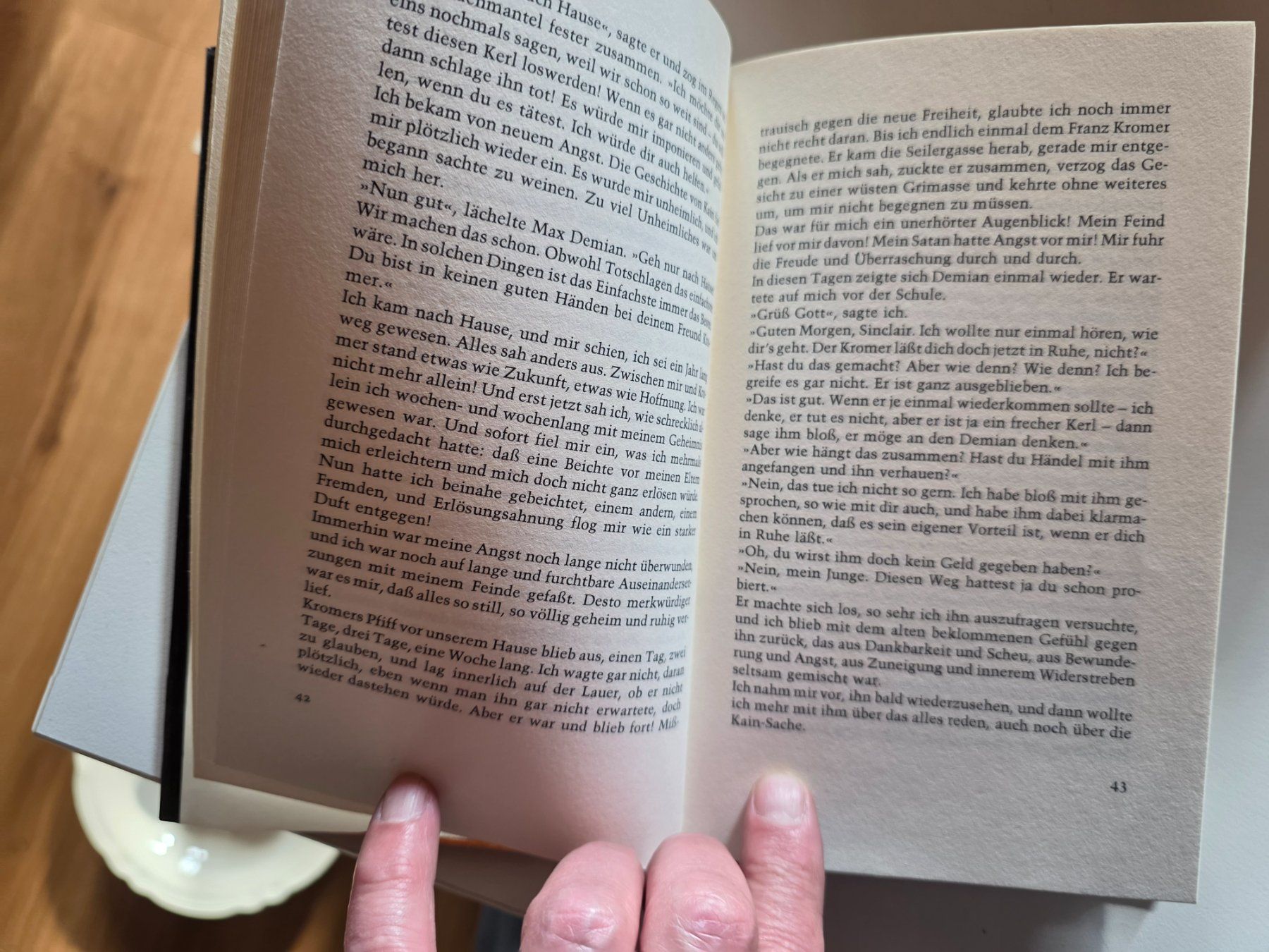 Libri: Hermann Hesse Demina - suhrkamp Buch – Usato da Walterswil BE venduto da Lonitti 4