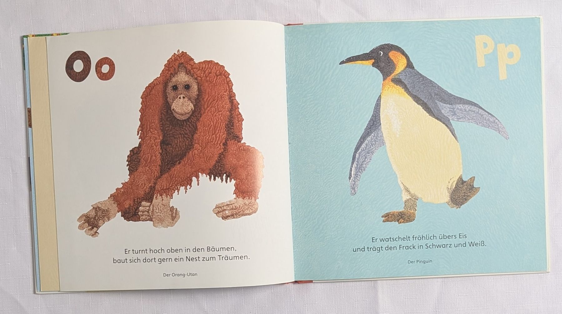 Livres: 2x Marcus Pfister Bimderbücher (Der Regenbogenfisch) – Neuf (Voir description) à Wängi par ABIZONE-86 1